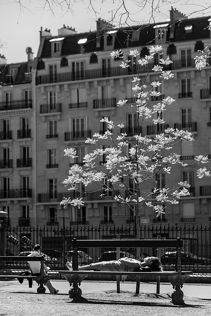 Rejuvenating in Paris  •  Se ressourcer aux Batignolles