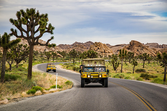 Joshua Tree, California, USA