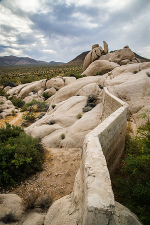 Joshua Tree, California, USA