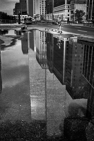 Running with Giants • Courir parmi les géants – New York