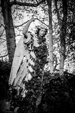 Highgate cemetery, London