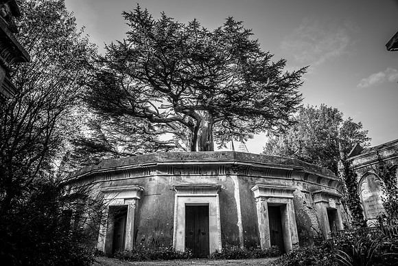 Highgate cemetery, London