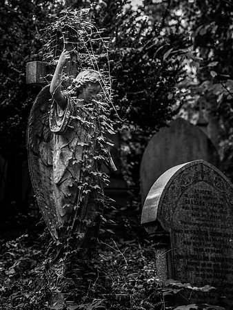 Highgate cemetery, London