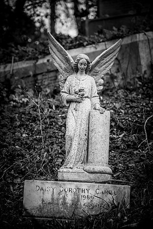 Highgate cemetery, London