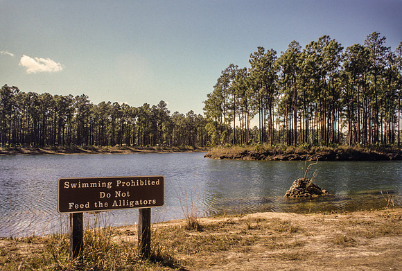 1987 - Christmas break - Florida & Louisiana - 093