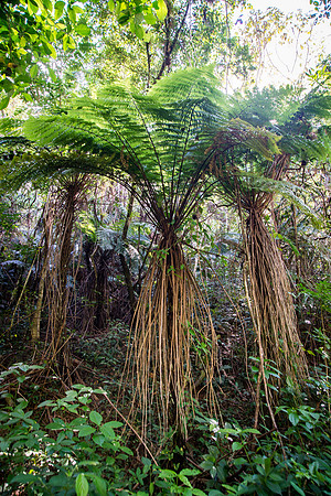 Cuba – Trinidad – 2018