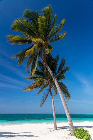 Cuba – Cayo Levisa – 2018