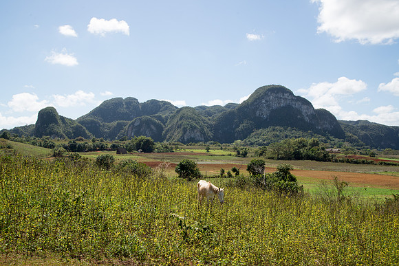 Cuba – Viñales – 2018
