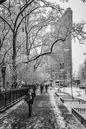 Snowed in NYC